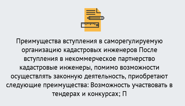 Почему нужно обратиться к нам? Шарыпово Что дает допуск СРО кадастровых инженеров?